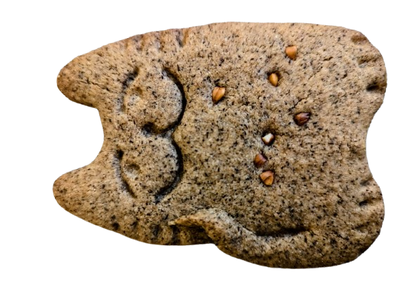 Biscuit chat géant sarrasin