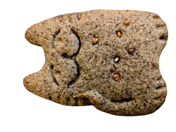 Biscuit chat géant sarrasin