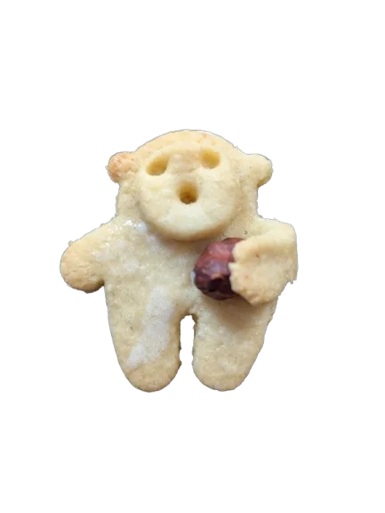 Biscuit ours