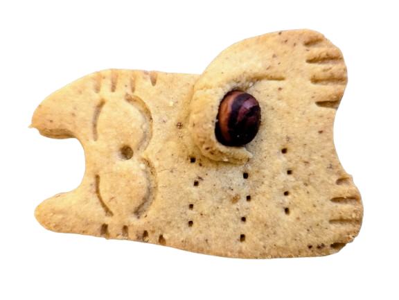 Biscuit chat géant
