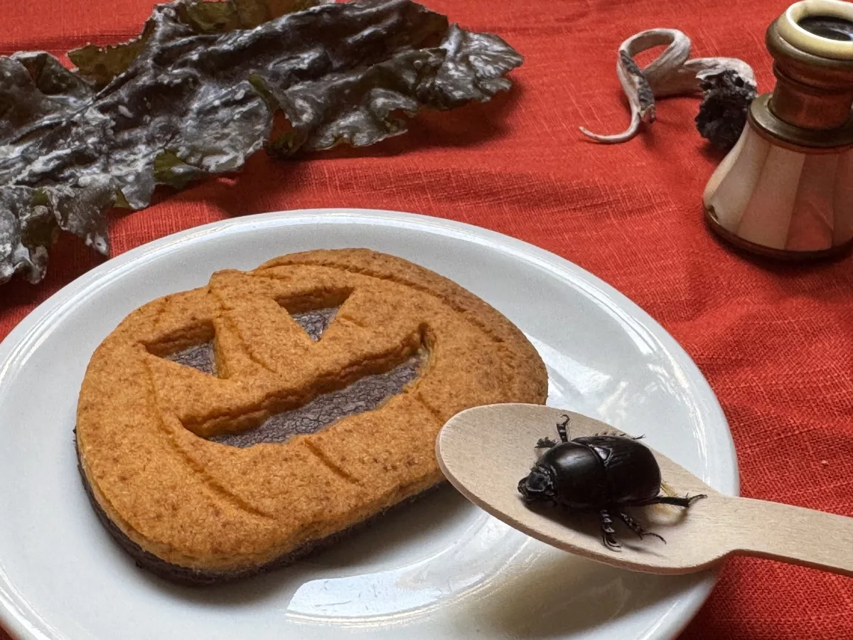 Citrouille d'Halloween