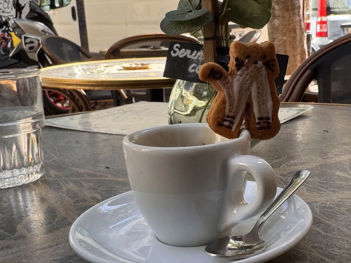 Chat Pain d'épices
