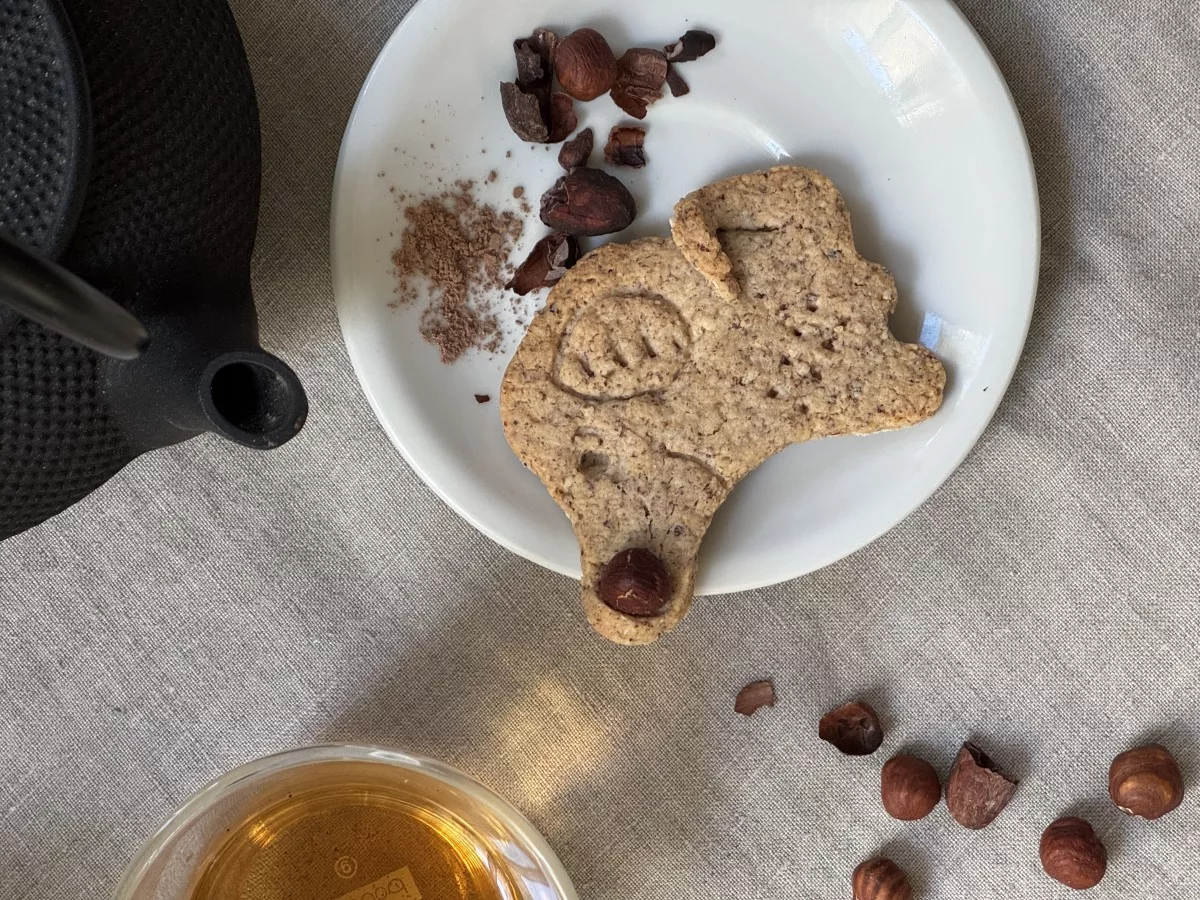 Dog Hazelnut