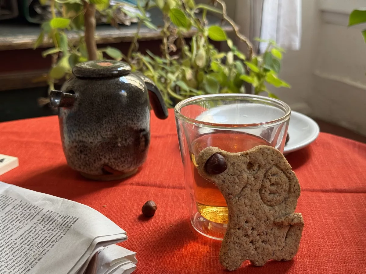 Chien Noisette