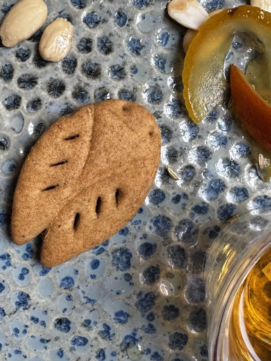 Cigale gibassier